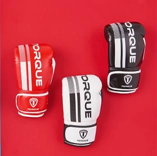 Punching Mitts